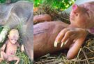 This Farmer Discovered Something Weird Under His Corn Field