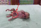 Monkey Was Saved: A Story of Hope and Rescue